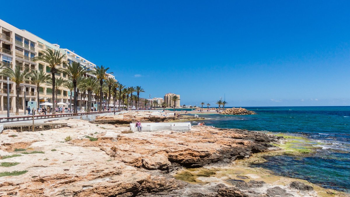Rocky coastal area with palms in Torrevieja, typical of small coves like Cala Ferris